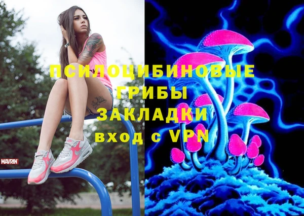 твердый Абинск