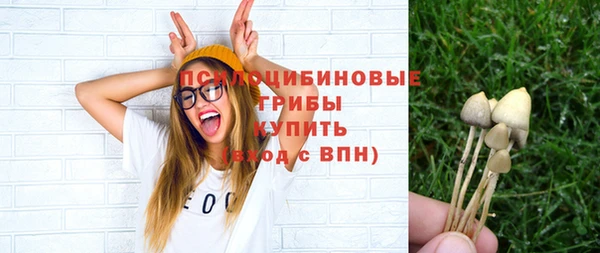 твердый Абинск