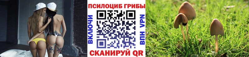 где купить наркоту Котово Псилоцибиновые грибы Magic Shrooms